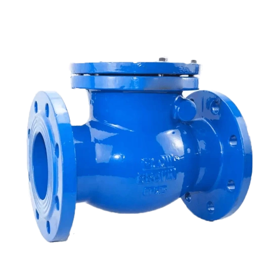 19с53нж DN 50-200 Кері фланецті клапан